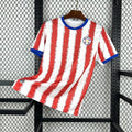 Paraguay National Team Shirt 2026